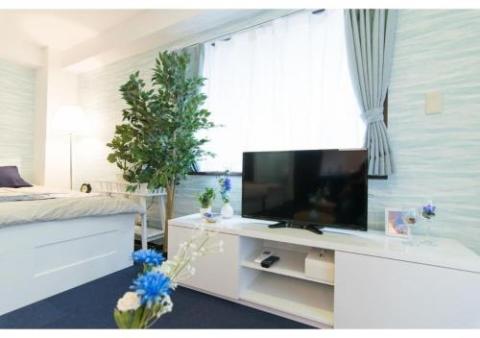 Evergreen Shinjuku Luxe 2M12 / Vacation STAY 75733