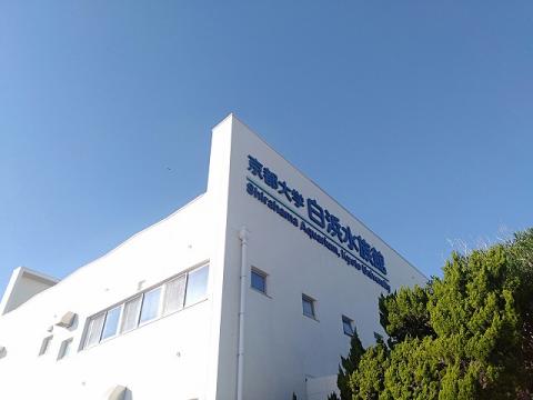 京都大学 白浜水族館