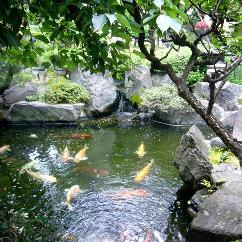 Restaurant & Ryokan Sendan