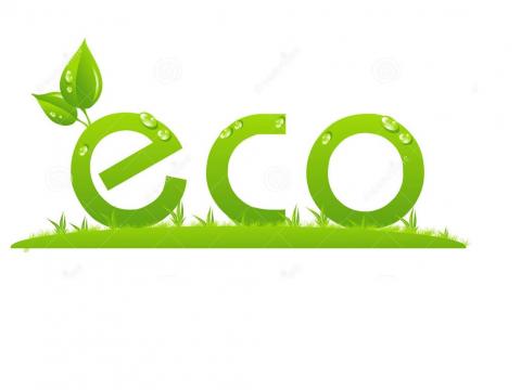 Shimizuya Ryokan (Fukushima)