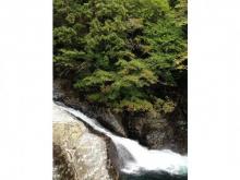 桝源旅館