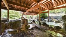 Ashiyasu Onsen Iwazonokan