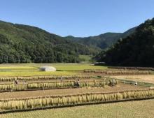 Yukinoura Guest House Moritaya
