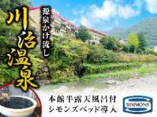 リブマックスリゾート川治