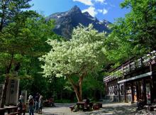 Kamikochi Myojinkan