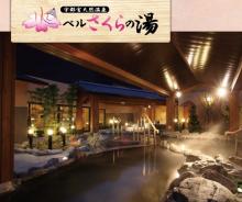 Business Hotel Del Sol