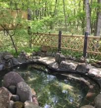 Spa Pension Mary King's