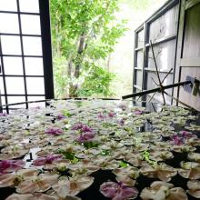Koyu Onsen Ryokan Yamatoya (Saga)