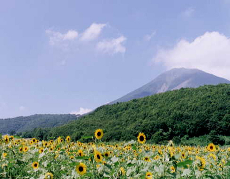 Country Inn Kumono Arlequin