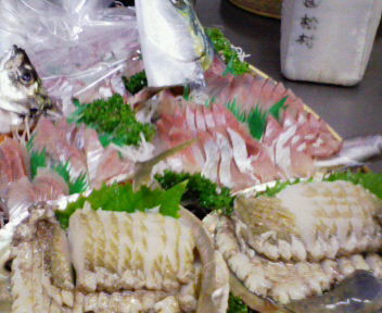 Annex Matsumura